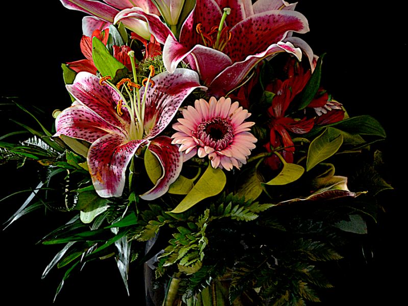 4. Platz 'Lass Blumen sprechen' von Wolfgang Koston 4. Platz 'Lass Blumen sprechen' von Wolfgang Koston