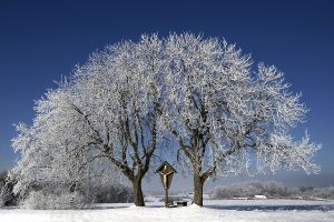 4. Platz 'Ein Wintertraum' von Wolfgang Koston 4. Platz 'Ein Wintertraum' von Wolfgang Koston