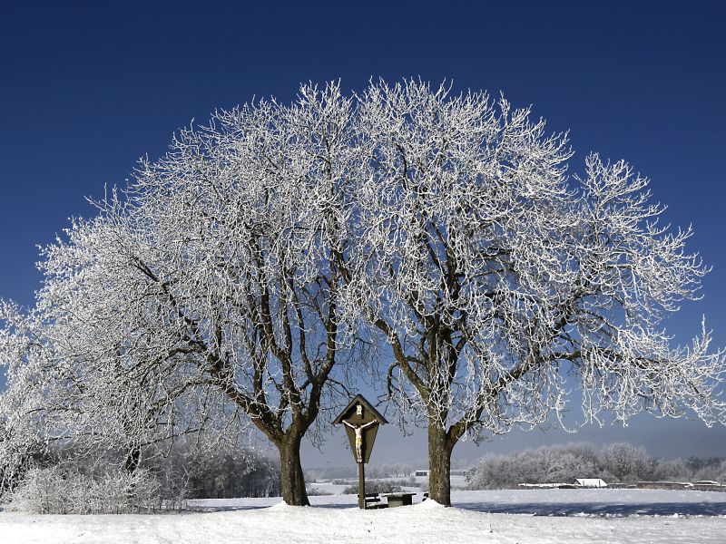 4. Platz 'Ein Wintertraum' von Wolfgang Koston 4. Platz 'Ein Wintertraum' von Wolfgang Koston