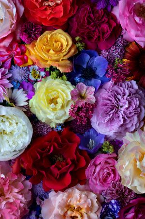 2. Platz "FlowerPower" von Tamara Mayer 2. Platz "FlowerPower" von Tamara Mayer