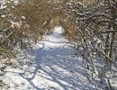 Winter Weg