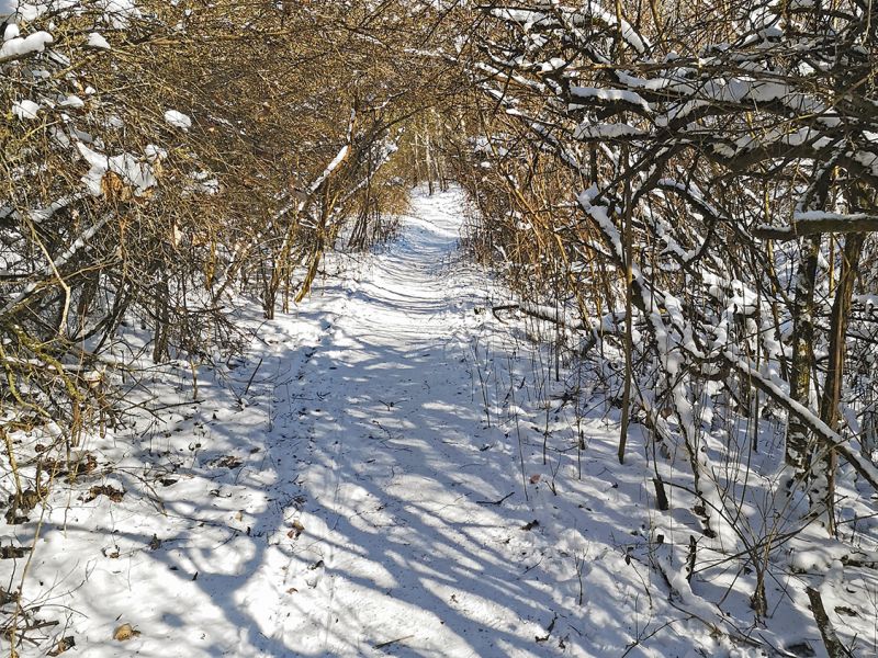 Winter Weg Winter Weg