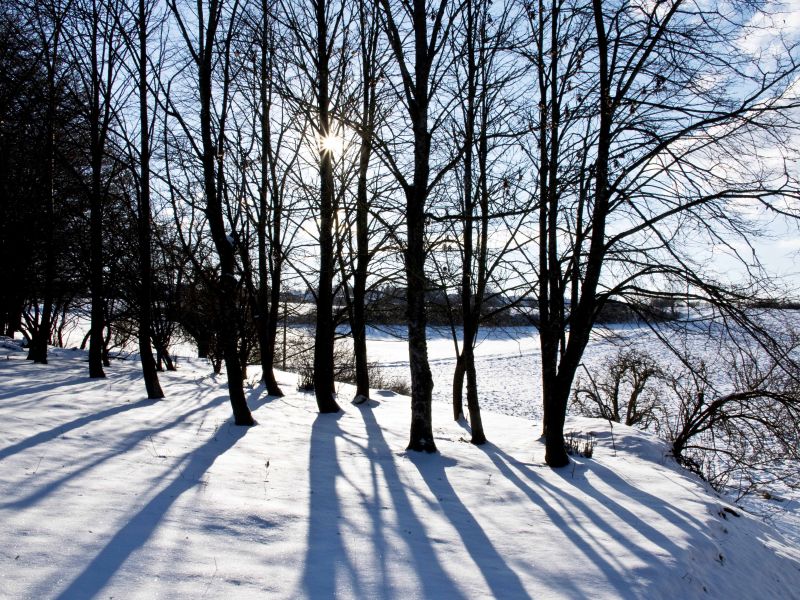 Winterstimmung Winterstimmung
