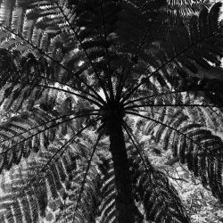 7.Platz 'Licht und Schatten' von Curd Jaenisch 7.Platz 'Licht und Schatten' von Curd Jaenisch