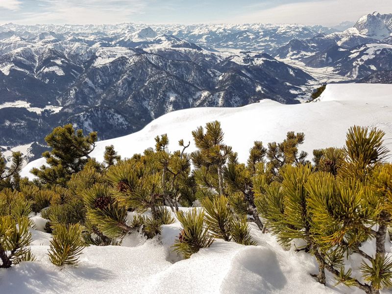 10.platz  bergwinter  von hermann weiss 10.platz  bergwinter  von hermann weiss