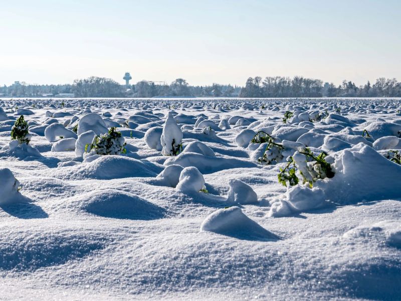 10.platz  schneelandschaft  von rudi bock 10.platz  schneelandschaft  von rudi bock
