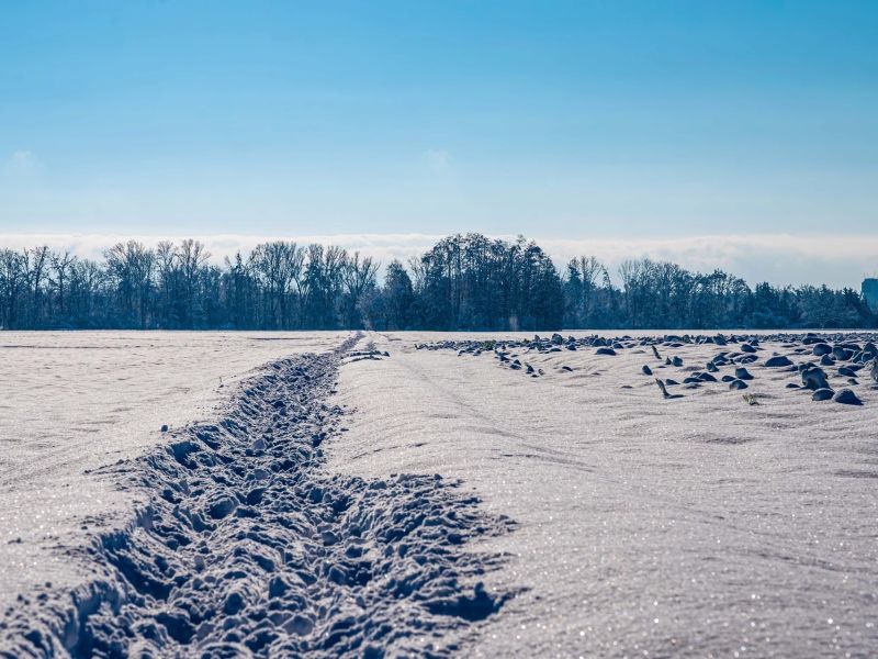 10.platz  spur im schnee  von rudi bock 10.platz  spur im schnee  von rudi bock