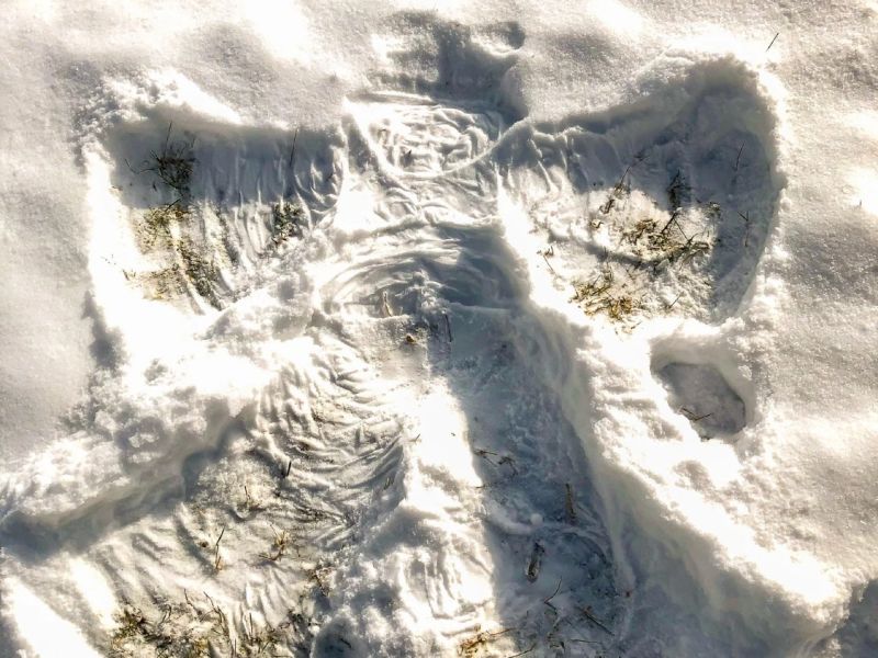 18.platz  enkel nr.1  von evi mayer 18.platz  enkel nr.1  von evi mayer