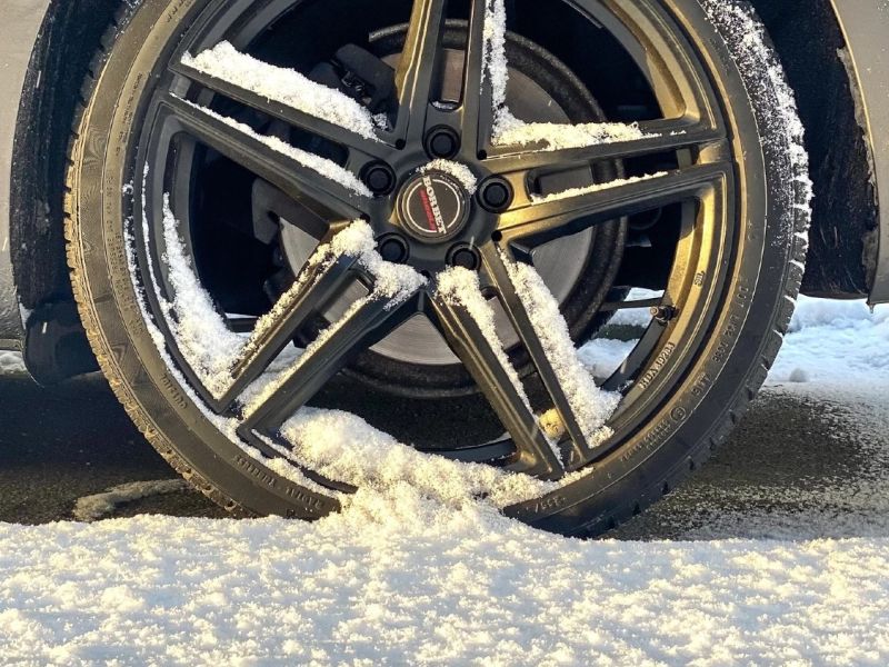 21.platz  grip oder nicht grip  von evi mayer 21.platz  grip oder nicht grip  von evi mayer