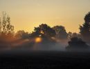 1.Platz 'Erwachen im Nebel' von Alfred Heigl