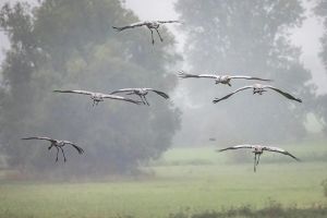 6.Platz 'Nix wie weg' von Ralf Wandke 6.Platz 'Nix wie weg' von Ralf Wandke