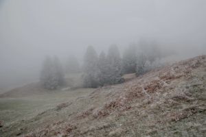 7.Platz 'Blick ins Tal' von Curd Jaenisch 7.Platz 'Blick ins Tal' von Curd Jaenisch