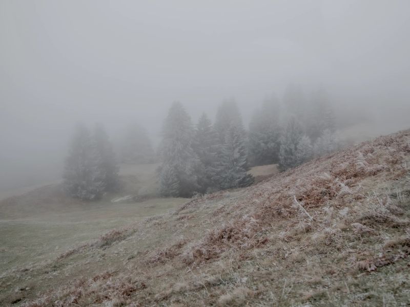 7.Platz 'Blick ins Tal' von Curd Jaenisch 7.Platz 'Blick ins Tal' von Curd Jaenisch