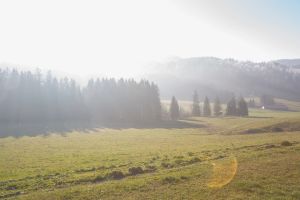 7.Platz 'Morgennebel' von Curd Jaenisch 7.Platz 'Morgennebel' von Curd Jaenisch