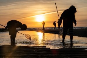 7.Platz 'Sommerabend am Meer' von Hermann Weiß
