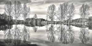 6.Platz 'Heideweiher' von Helmut Schwalm