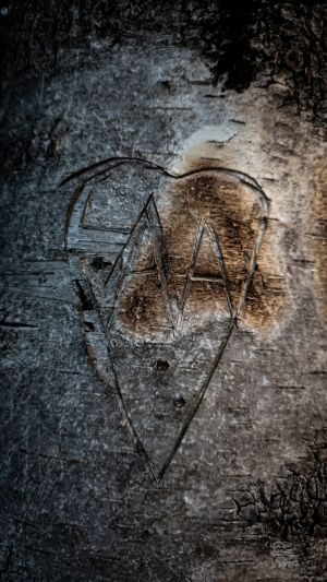 8.Platz 'Herz im Baum' von Samantha Mitosinka