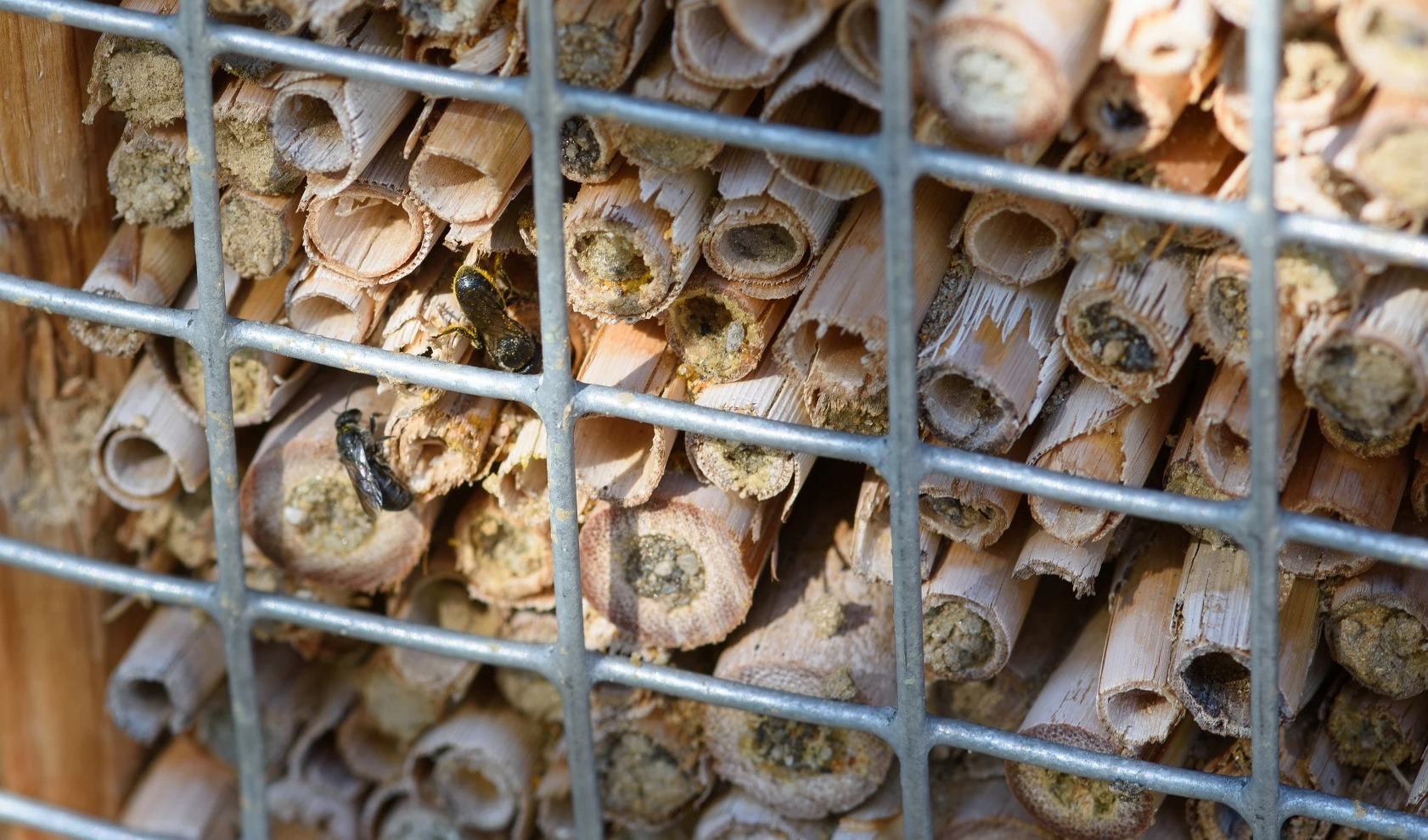 3platz insektenhotel von alfred heigl 20230802 1341091589