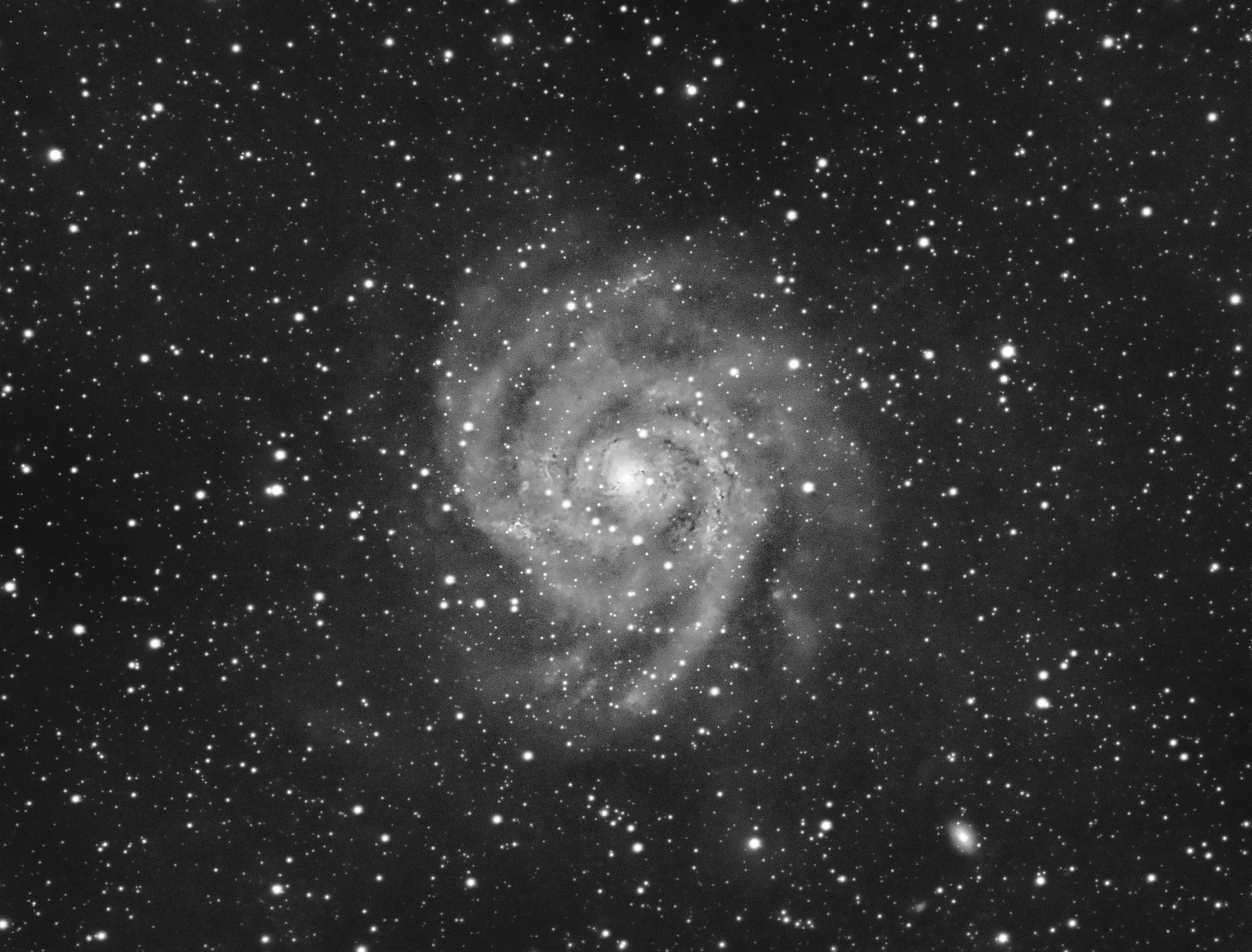 8platz ic342 versteckte galaxie von simon bock 20230802 1343492838