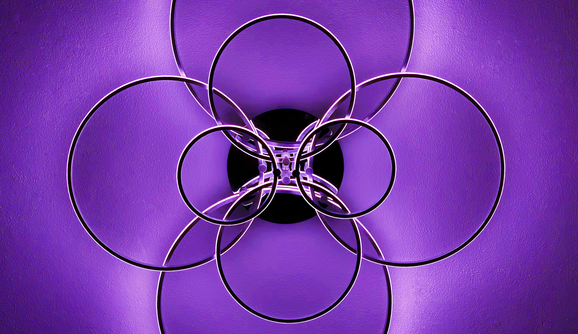 1platz simply purple evi 20220413 2035703810