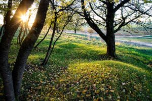 8. Platz "Herbstliches Abendlicht" von Hermann Weiß 8. Platz "Herbstliches Abendlicht" von Hermann Weiß