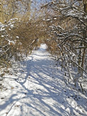 Winter Weg Winter Weg