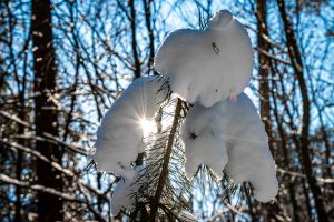 Wintersonne Wintersonne