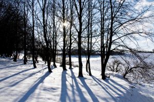 Winterstimmung Winterstimmung