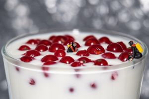 3.Platz "Joghurt und Johannisbeeren Dive" von Ralf Wandke 3.Platz "Joghurt und Johannisbeeren Dive" von Ralf Wandke