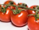 Tomaten