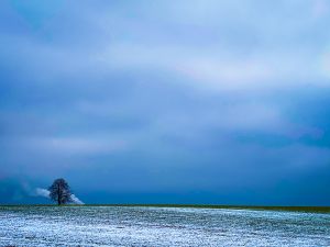 3.Platz "Bayerischer Blizzard" von Evi Mayer 3.Platz "Bayerischer Blizzard" von Evi Mayer