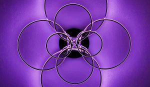 1.Platz "Simply purple" von Evi Mayer 1.Platz "Simply purple" von Evi Mayer