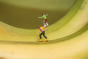 1.Platz "Alles Banane" von Ralf Wandke 1.Platz "Alles Banane" von Ralf Wandke