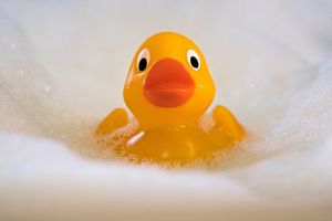 4.Platz "Quietsch, Quietsch...Ente" von Ralf Wandke 4.Platz "Quietsch, Quietsch...Ente" von Ralf Wandke