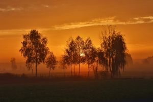 4.Platz "Sonnenaufgang" von Ingo Rittscher 4.Platz "Sonnenaufgang" von Ingo Rittscher