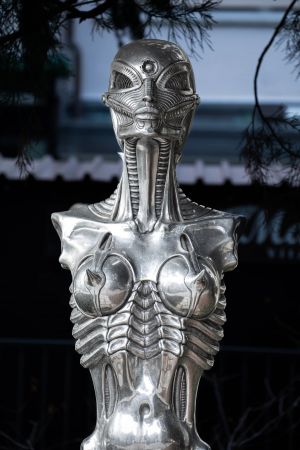 6.Platz "Metallisch" von Curd Jänisch 6.Platz "Metallisch" von Curd Jänisch