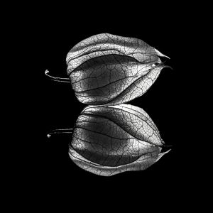 3.Platz 'Füss..sss.., ach egal' von Ralf Wandke