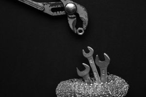 3.Platz 'Mutter füttert' von Evi Mayer