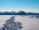 10.platz  spur im schnee  von rudi bock