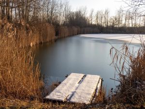 10.platz tauwetter von hermann weiss 10.platz tauwetter von hermann weiss