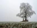 6.Platz 'Eiskalt einsam' von Hermann Weiß