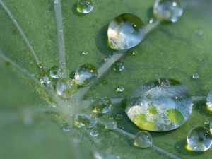 8.Platz 'Nach dem Regen' von Hermann Weiß 8.Platz 'Nach dem Regen' von Hermann Weiß