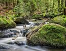 2.Platz 'Fliessendes Wasser &uuml;ber Felsen' von Ralf Wandke