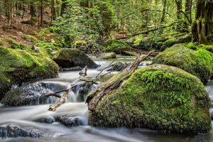 2.Platz 'Fliessendes Wasser &uuml;ber Felsen' von Ralf Wandke