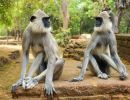 5.Platz 'Vertrauen-Diiiir??' von Curd Jaenisch