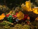 '7.Platz 'Lego, Laub und Liebe' von Christopher Zapf 
