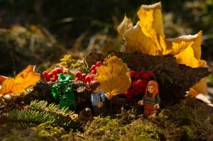 '7.Platz 'Lego, Laub und Liebe' von Christopher Zapf 
