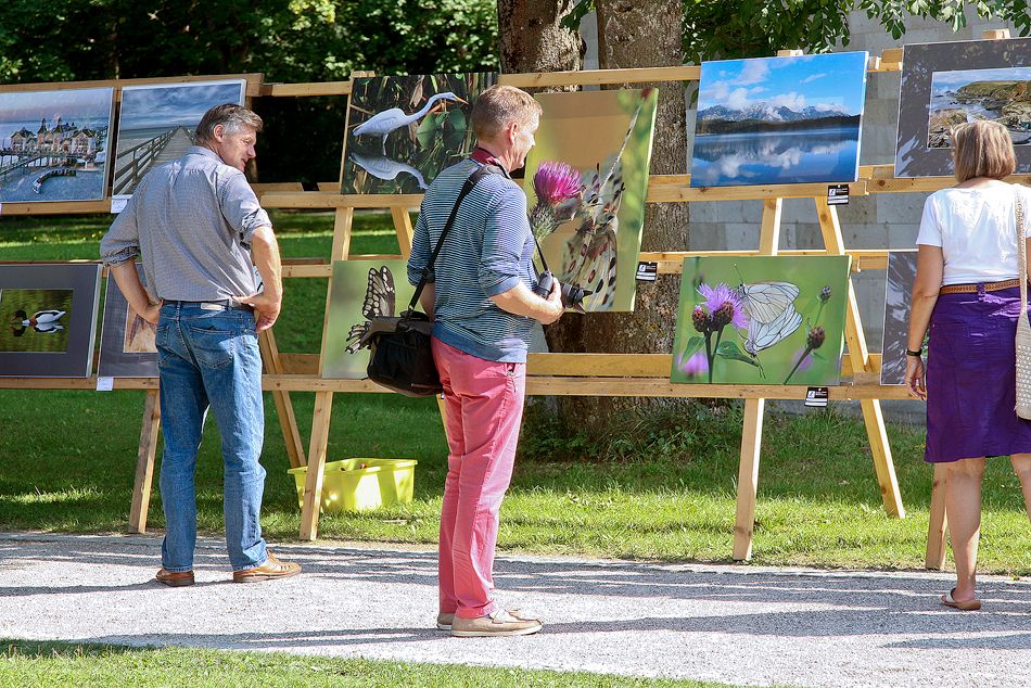 Jahresausstellung 2014