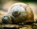 4.Platz 'Die Natur als Künstler' von Hermann Weiß