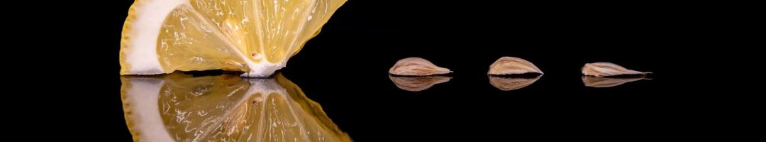 1.platz  zitronenjagd  von georg wilhelm